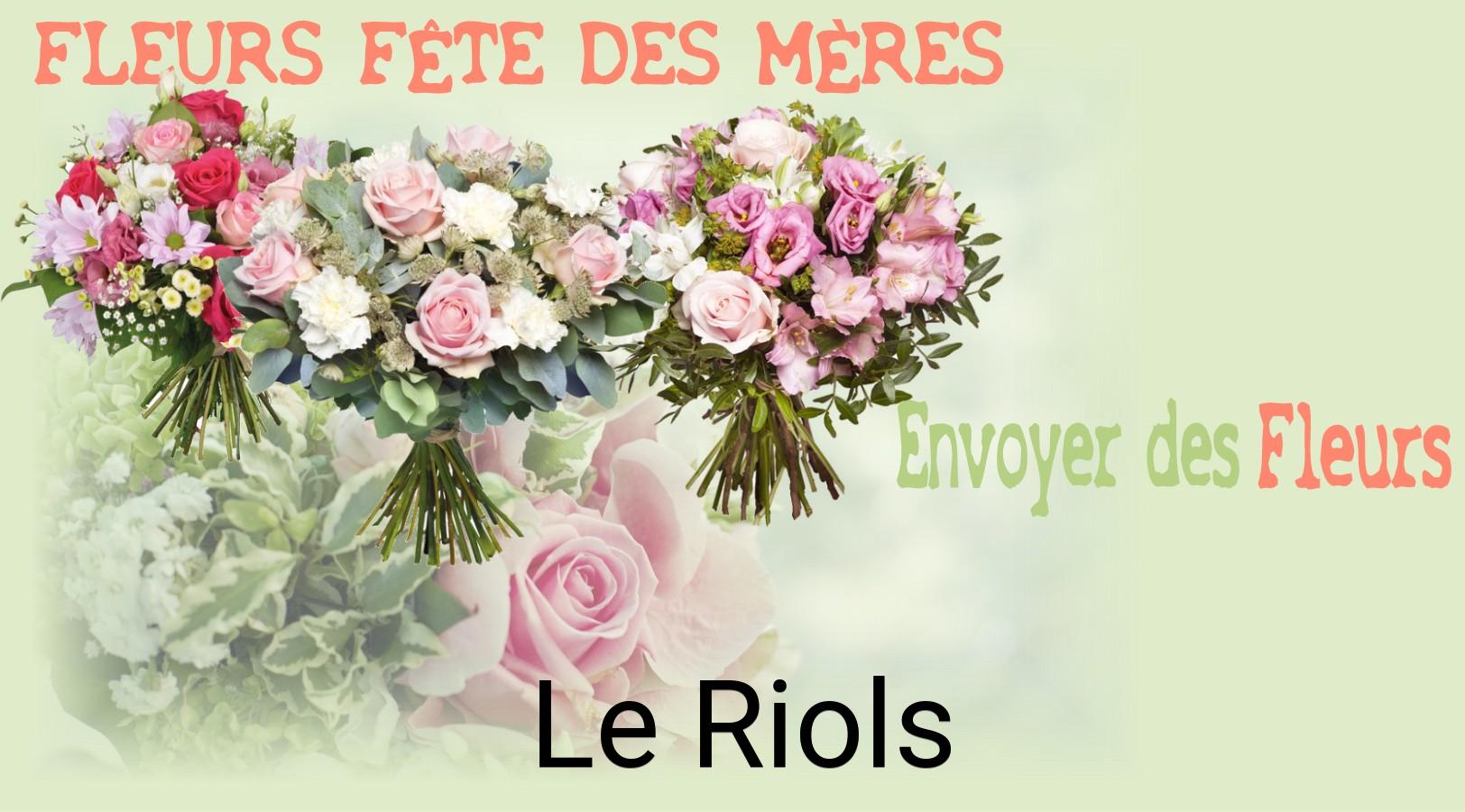 Bouquet de Fête des Mères livré à Le Riols